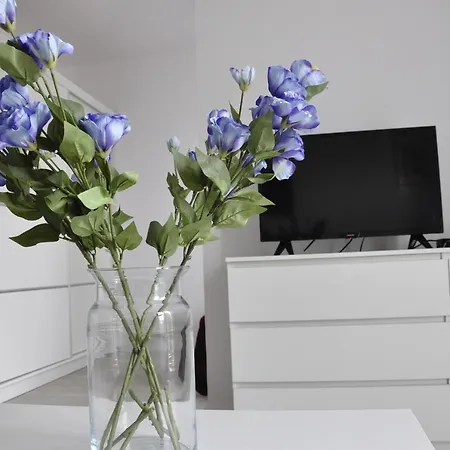 Prudentia Lifetown Apartament